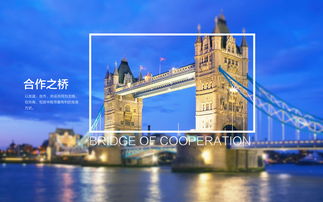 廈門希幔進出口貿易vis設計