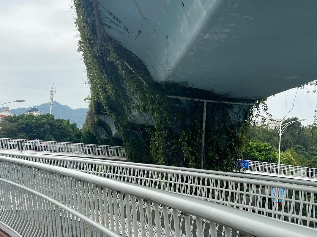 廈門 創(chuàng)新交通與設(shè)計(jì)的城市典范