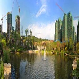 重慶市房地產開發項目詳情查看指南